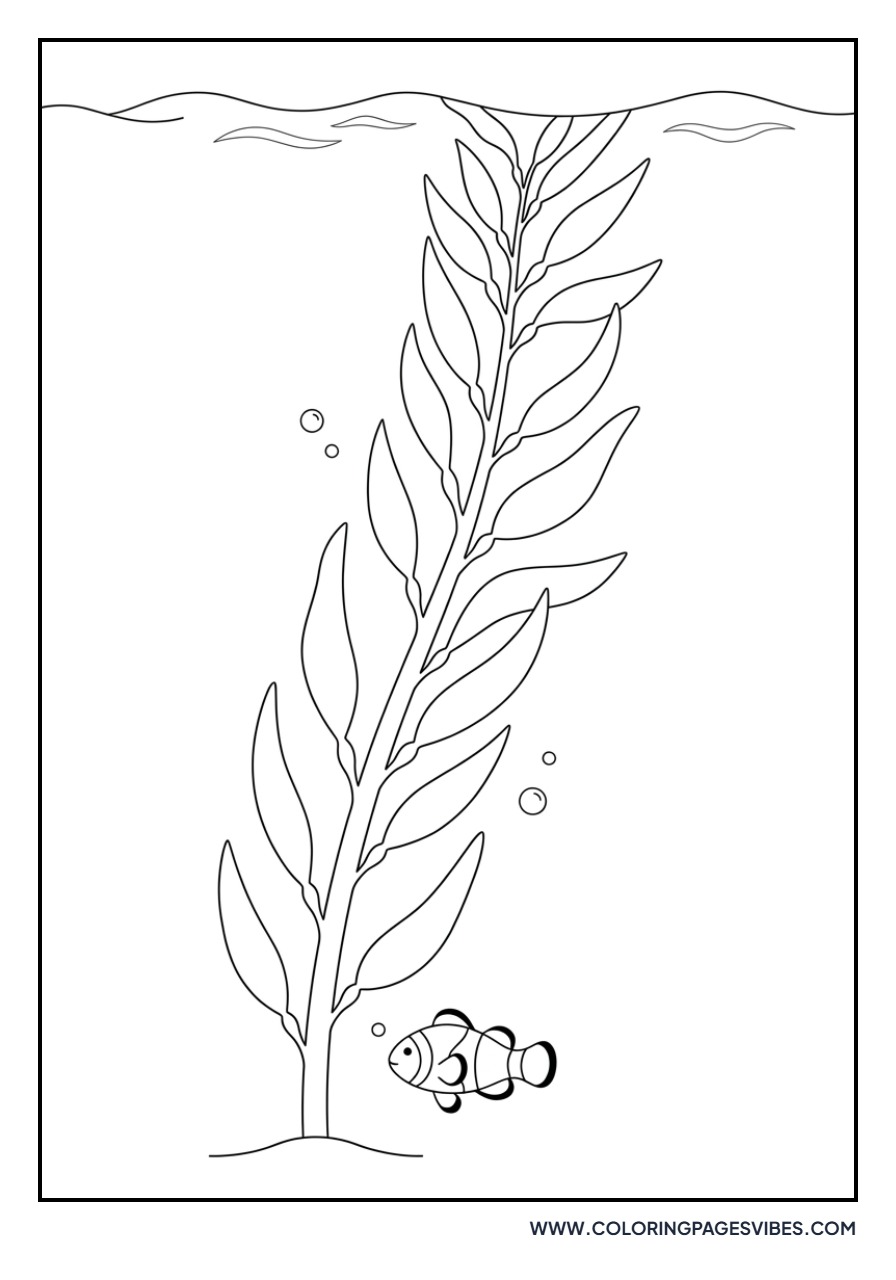 Clownfish with Giant Kelp