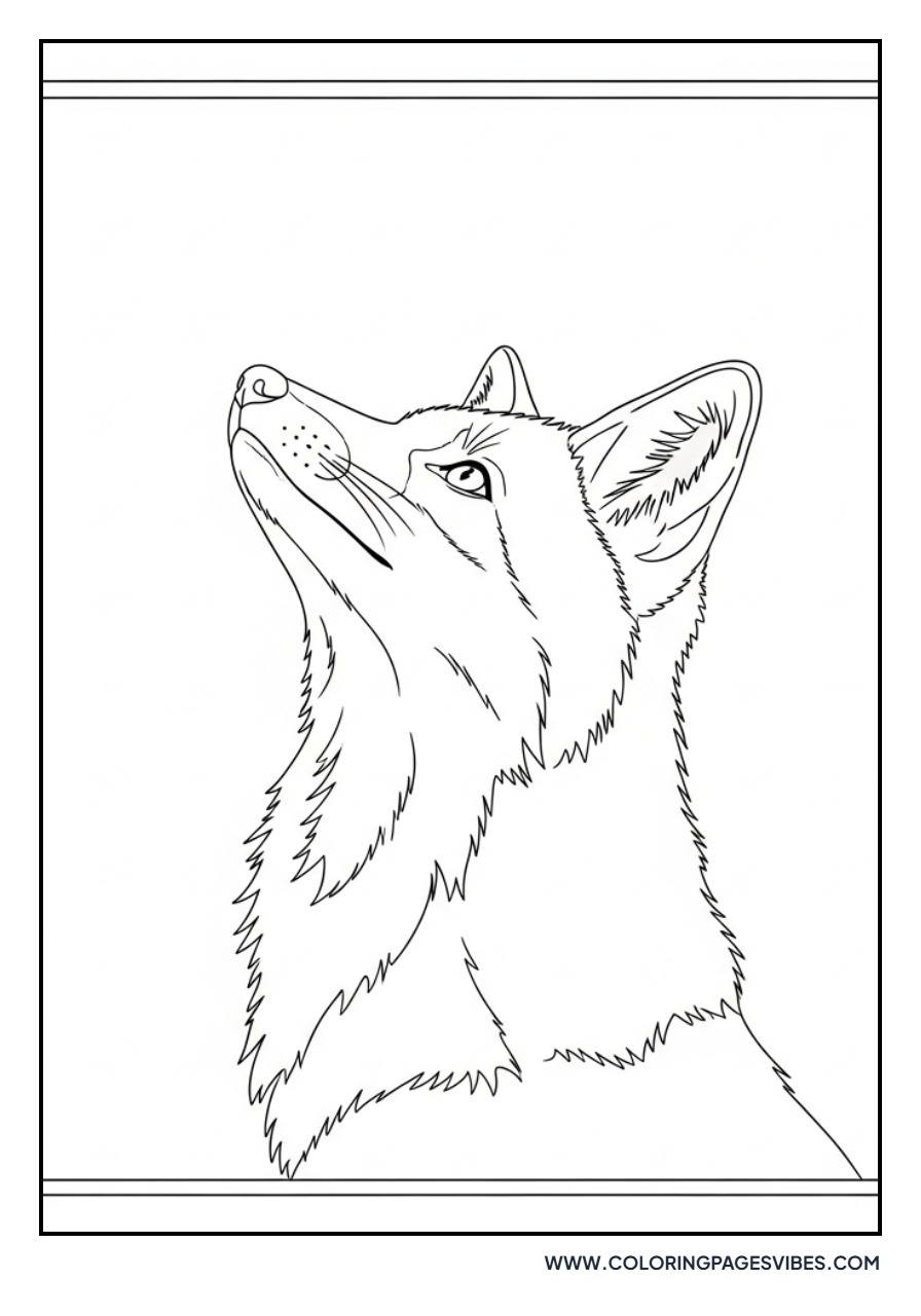 Fox Looking Up High