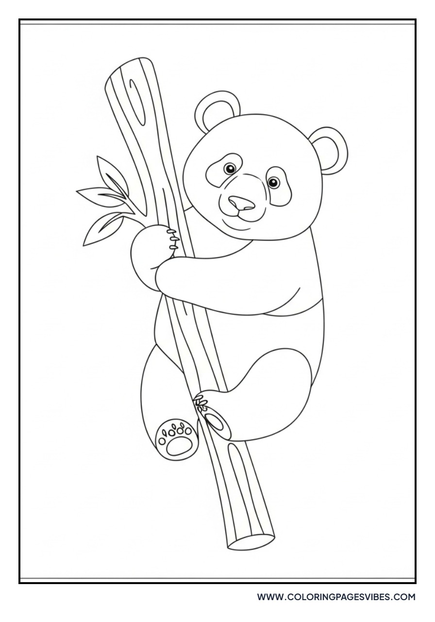 Panda Hanging from Branch