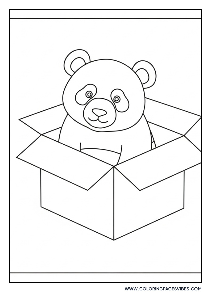 Panda in a Cardboard Box