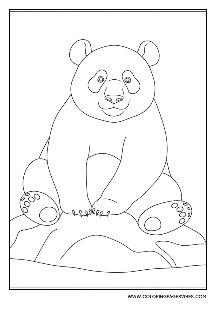 Panda Sitting on Rock