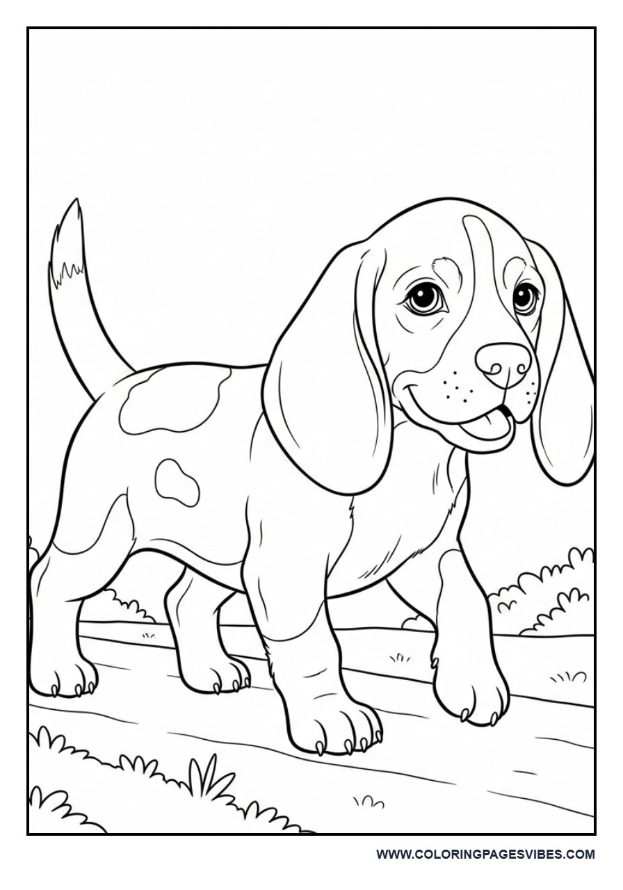 Beagle Puppy Walking