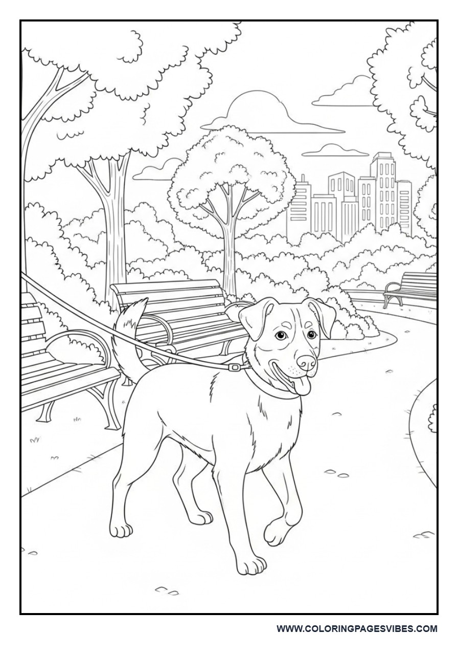 Dog Walking in City Park