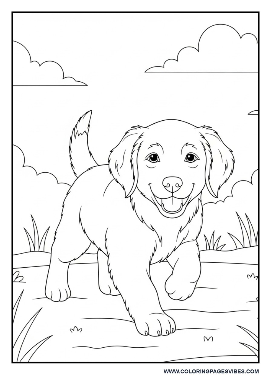 Golden Retriever Puppy Playing