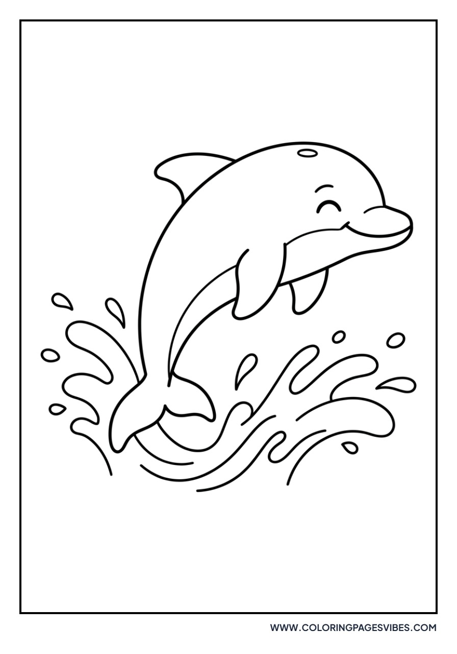 Baby Dolphin Splashing