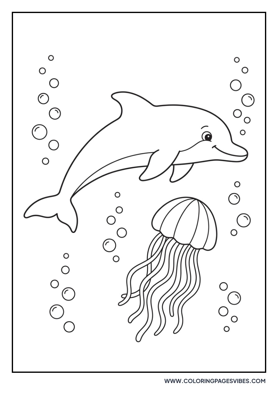 Dolphin and a Jellyfish