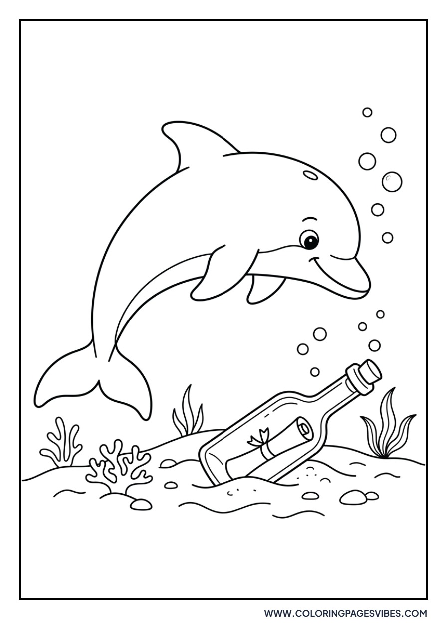 Dolphin and a Message in a Bottle