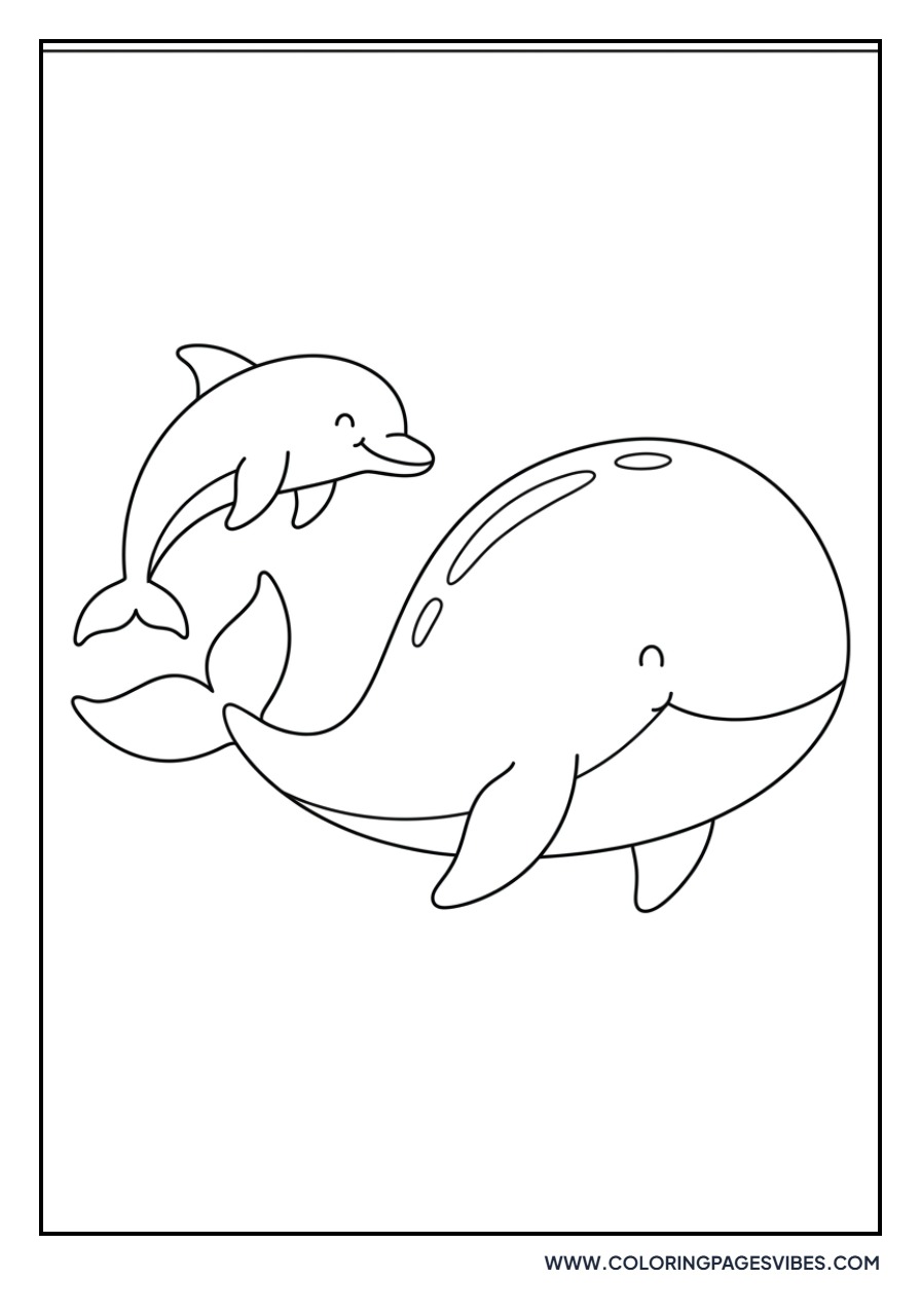 Dolphin and a Whale