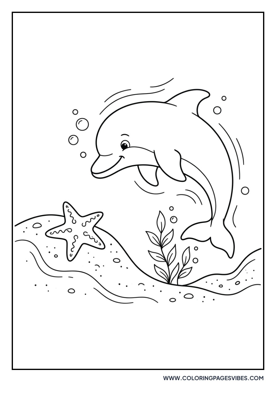 Dolphin and Starfish