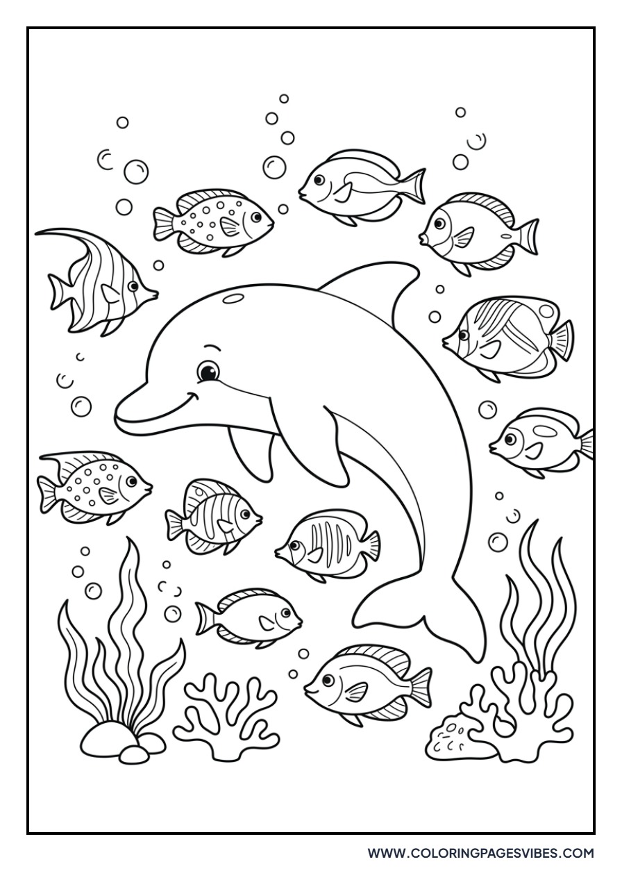 Dolphin and Tropical Fish