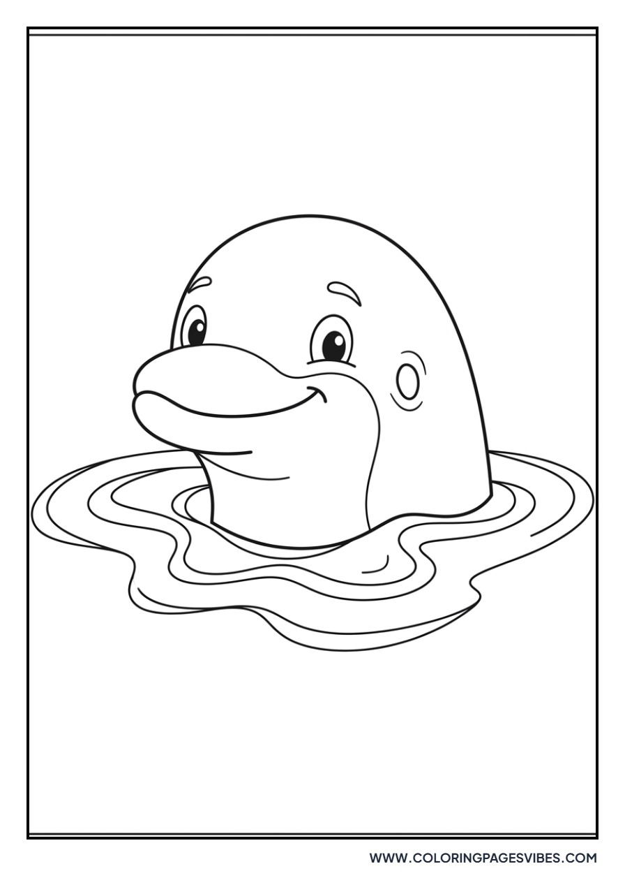 Dolphin Peeking Out of Water