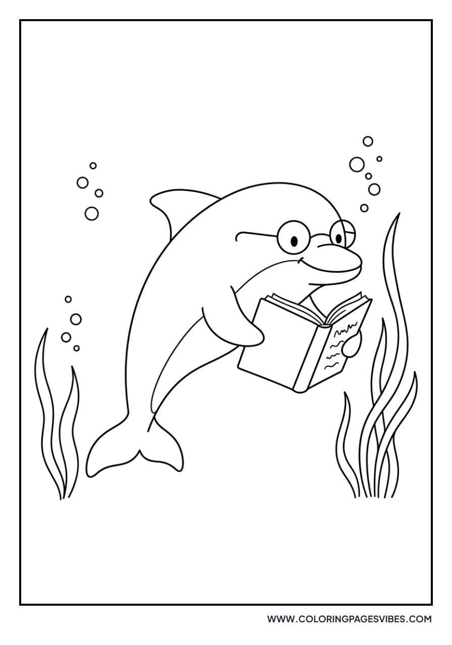 Dolphin Reading a Book