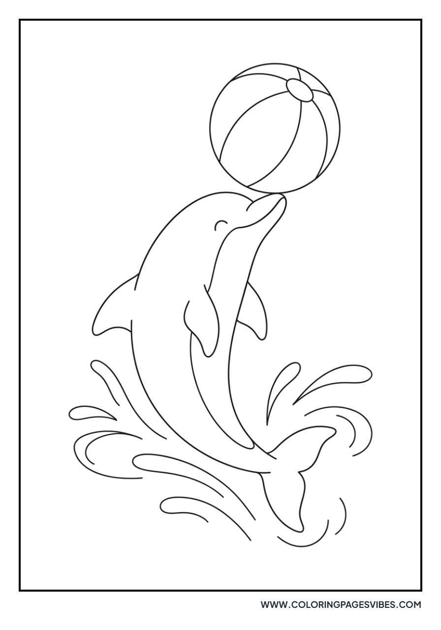 Dolphin with a Beach Ball