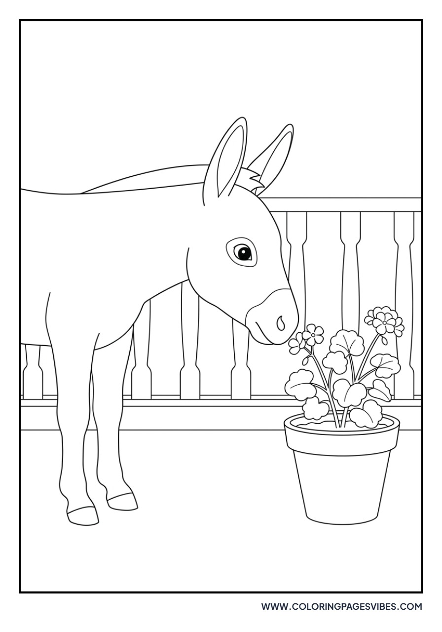 Donkey and a Potted Plant