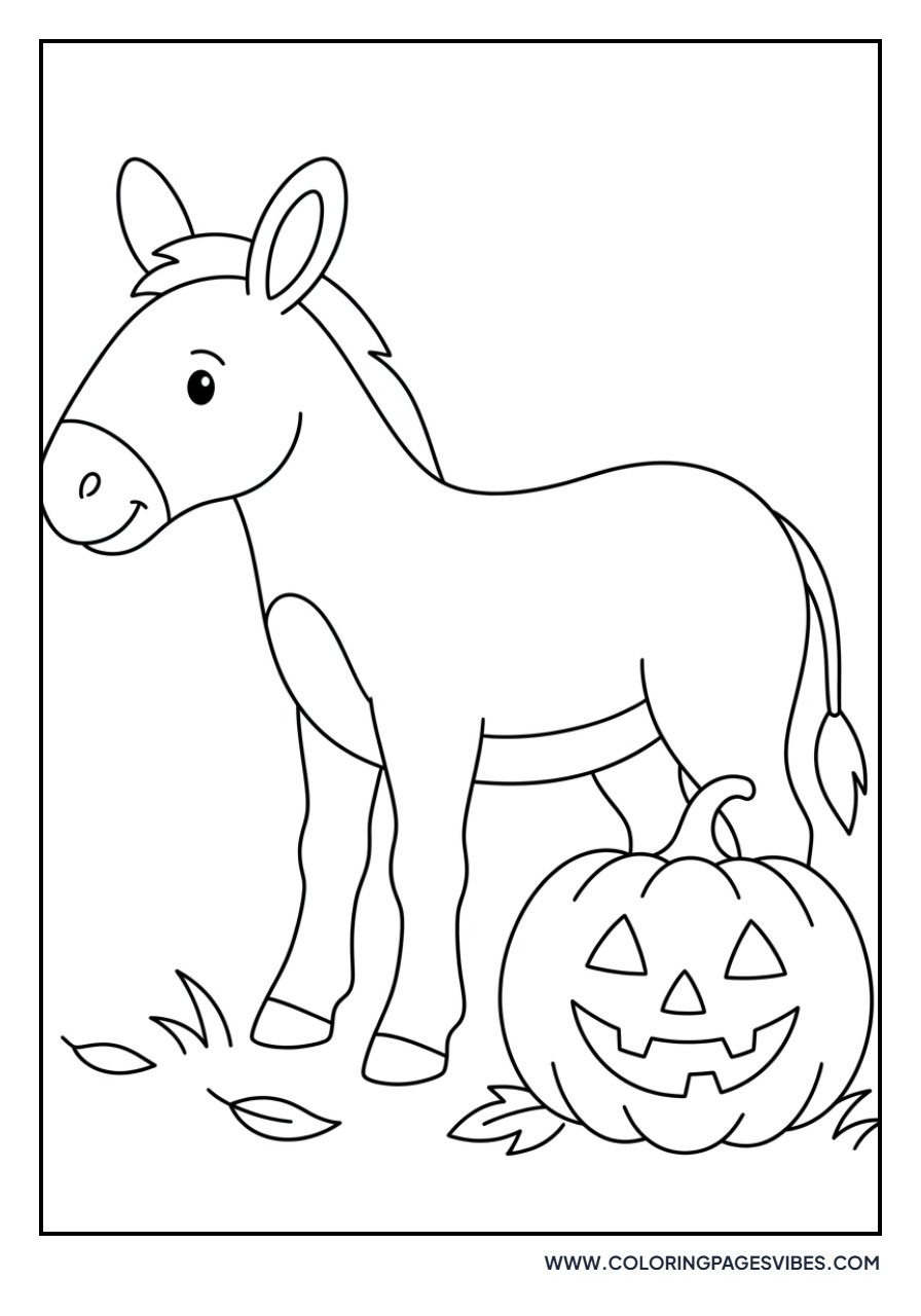 Donkey and a Pumpkin