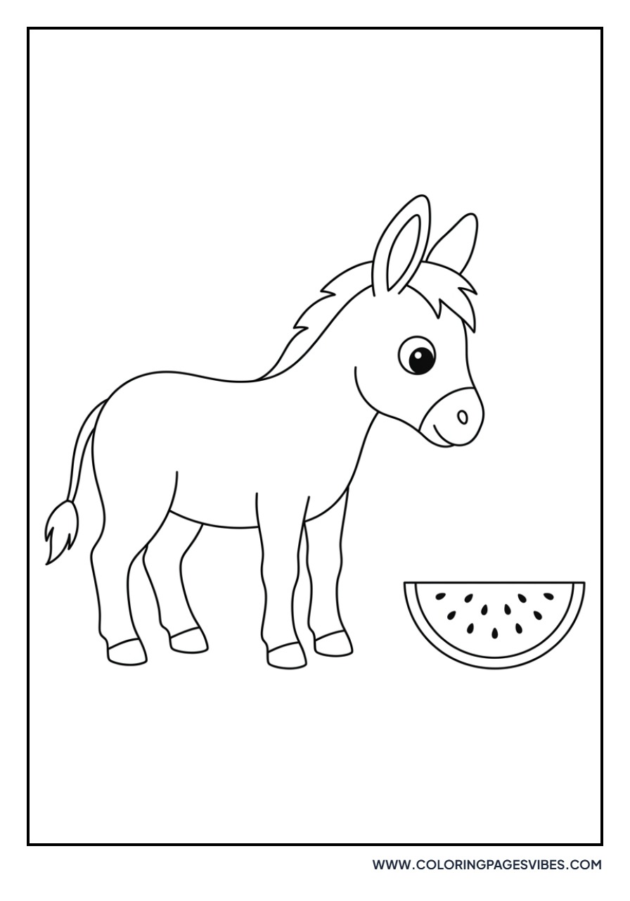Donkey and Watermelon