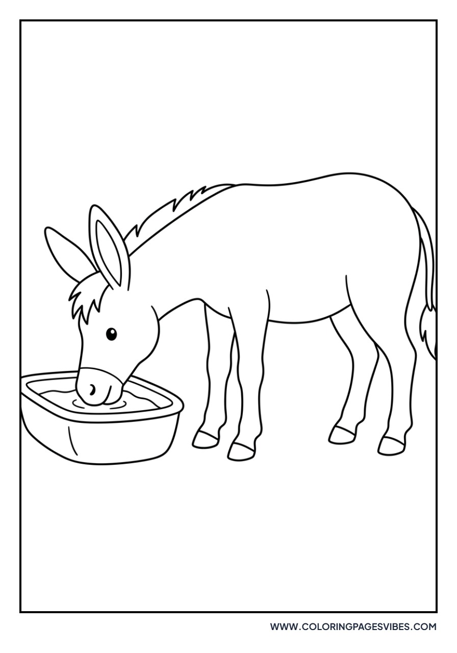 Donkey Drinking Water