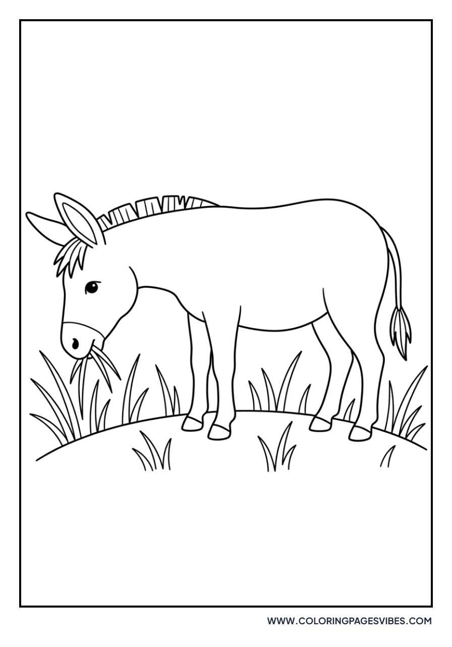 Donkey in a Field of Grass