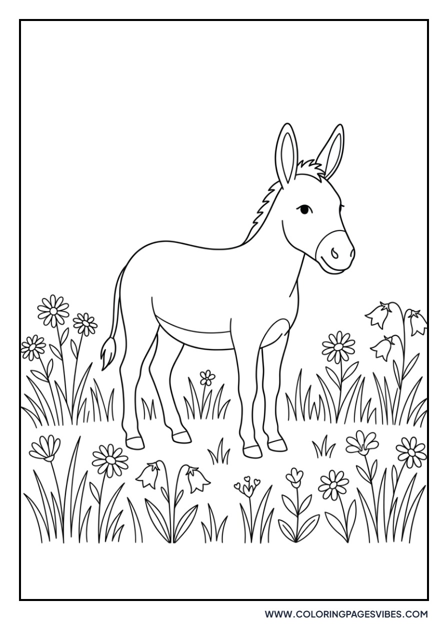 Donkey in a Meadow