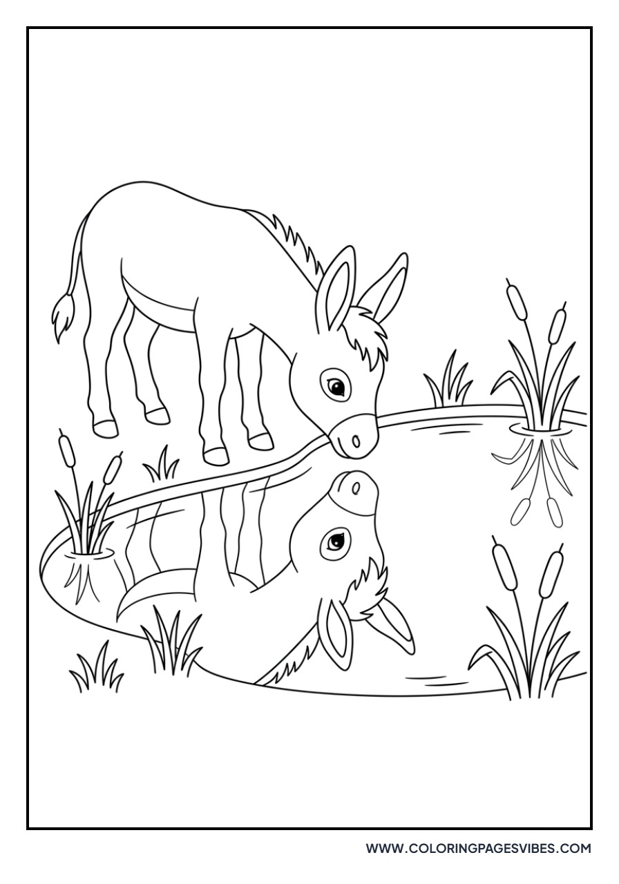 Donkey Looking in Mirror
