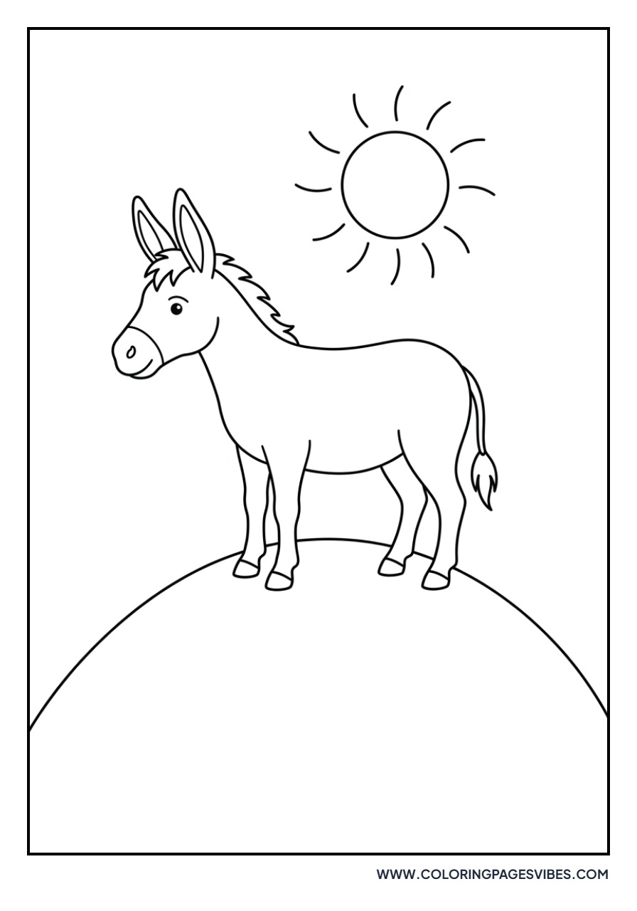 Donkey Standing on a Hill