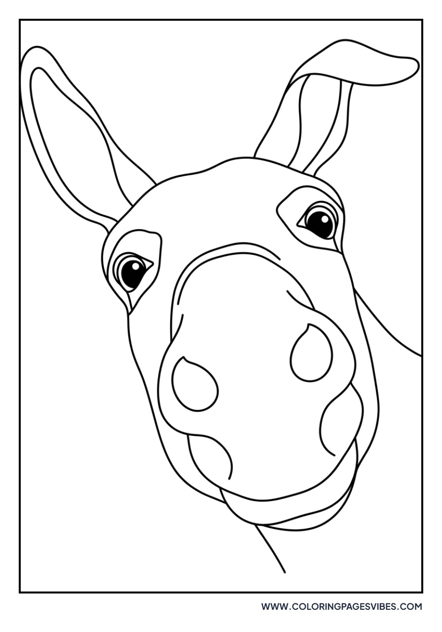 Peeking Donkey