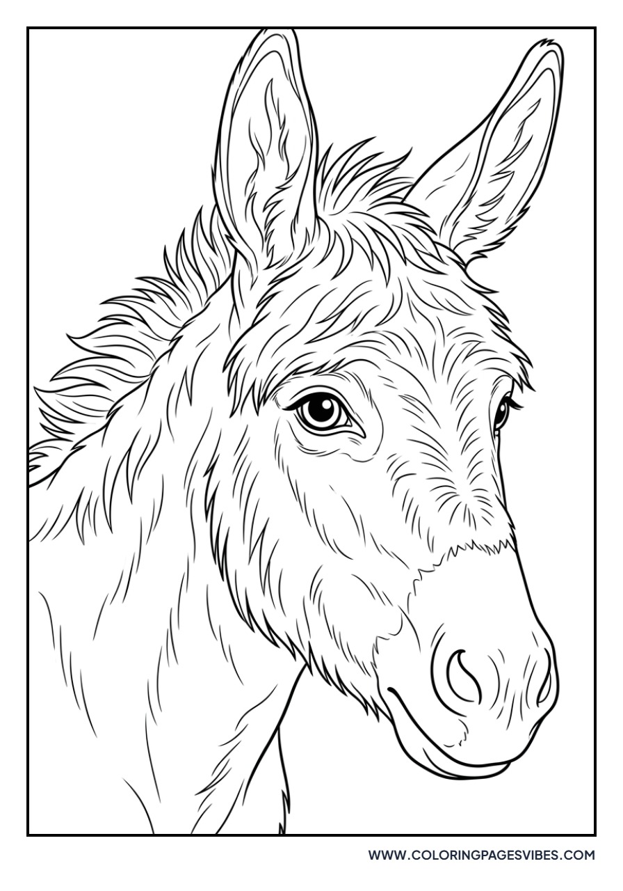 Realistic Donkey Portrait