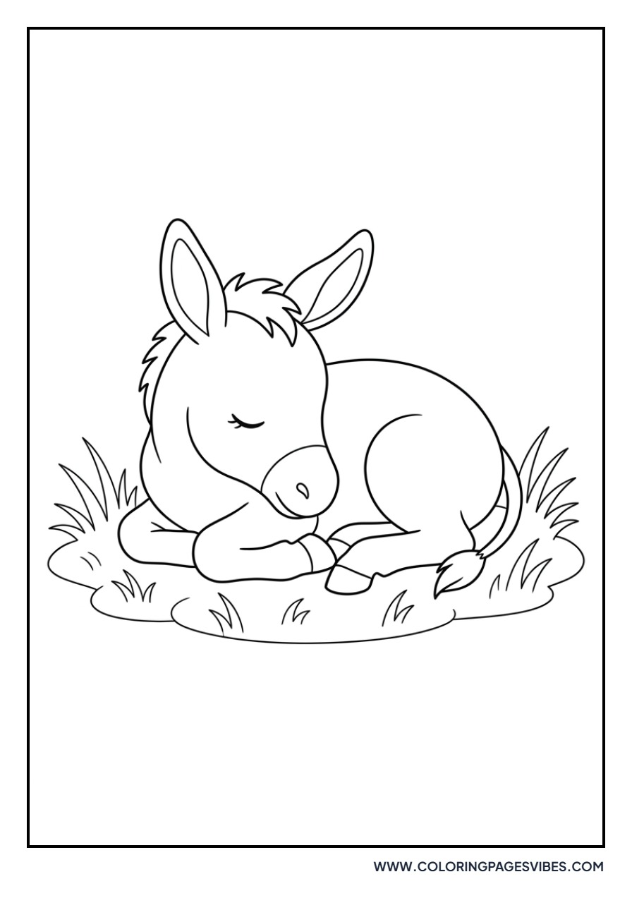 Sleepy Baby Donkey