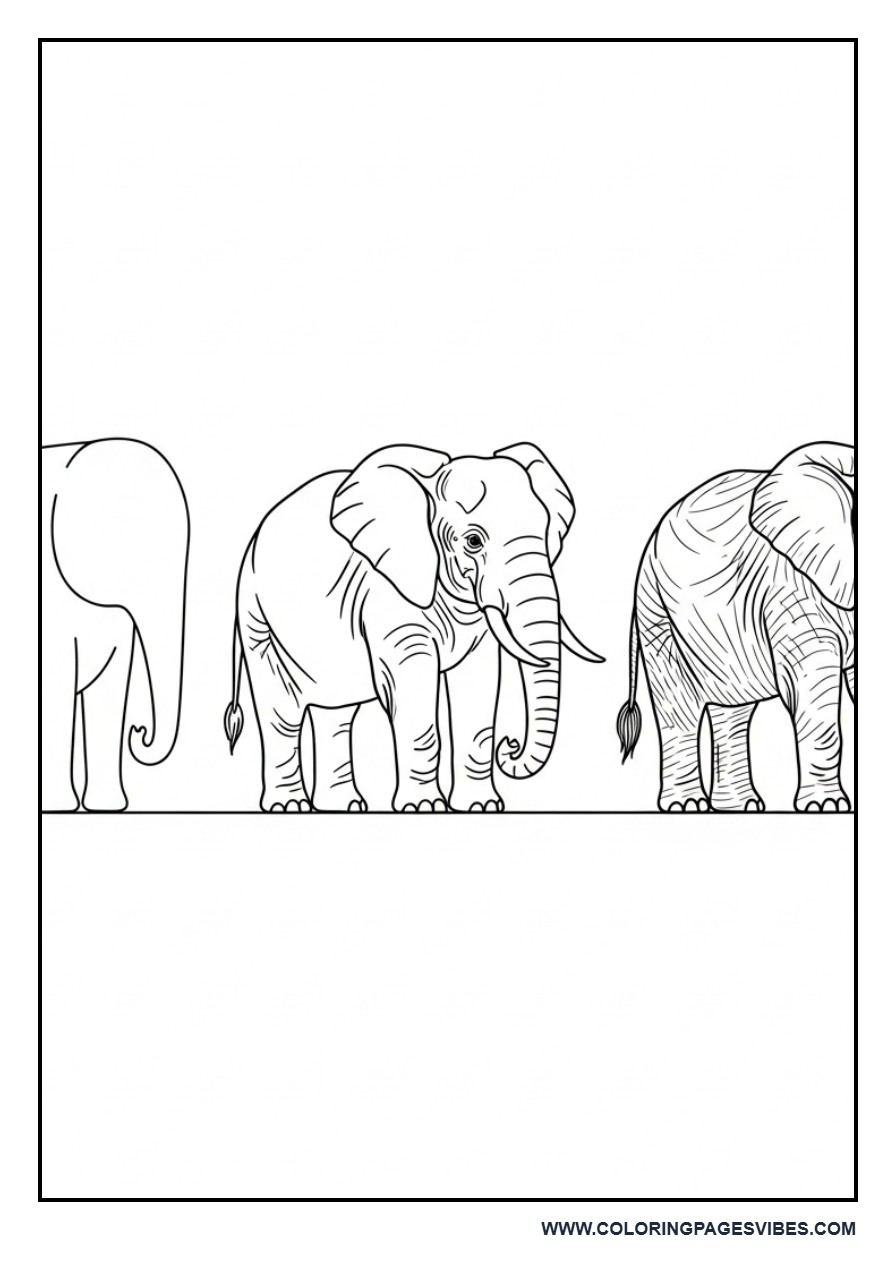 Elephant Transformation Sequence (3 Steps)