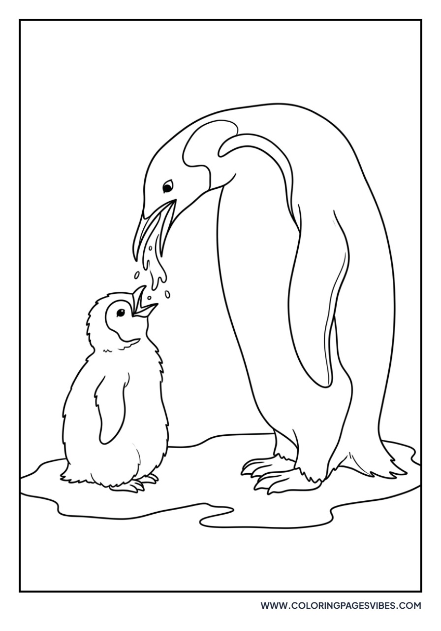 Adult Penguin Feeding Chick