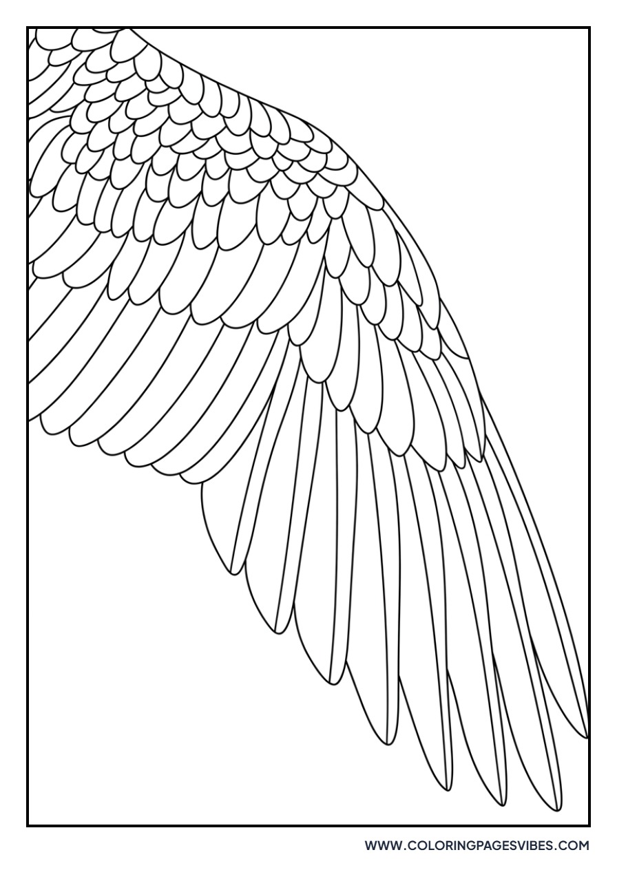 Feather Detail Study
