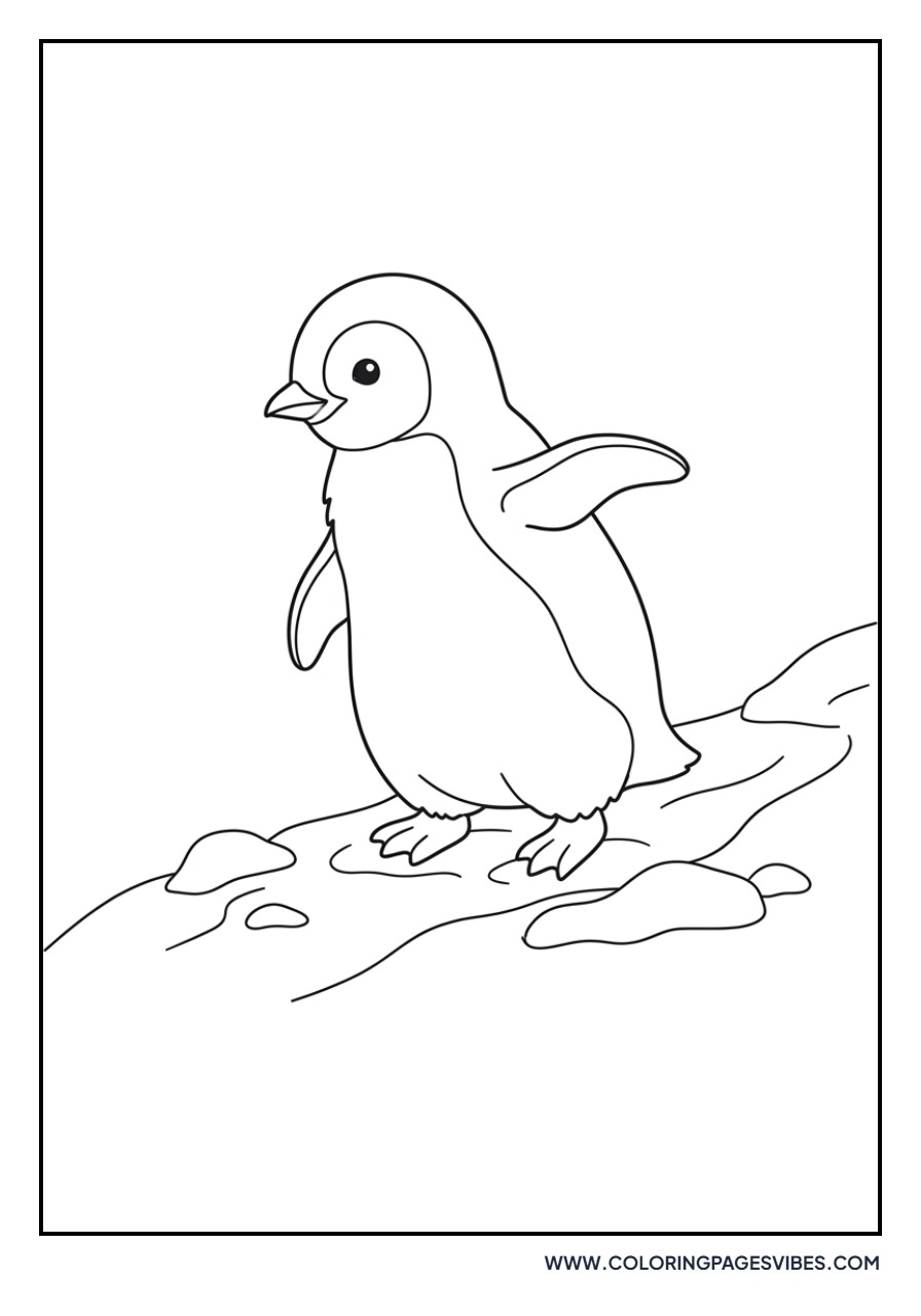 Penguin Chick First Steps