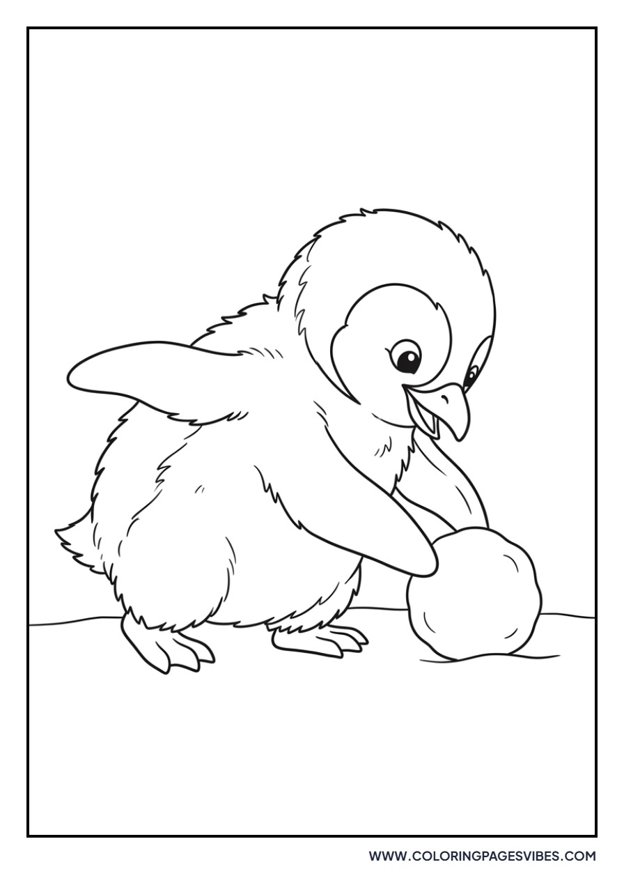 Penguin Chick Playing