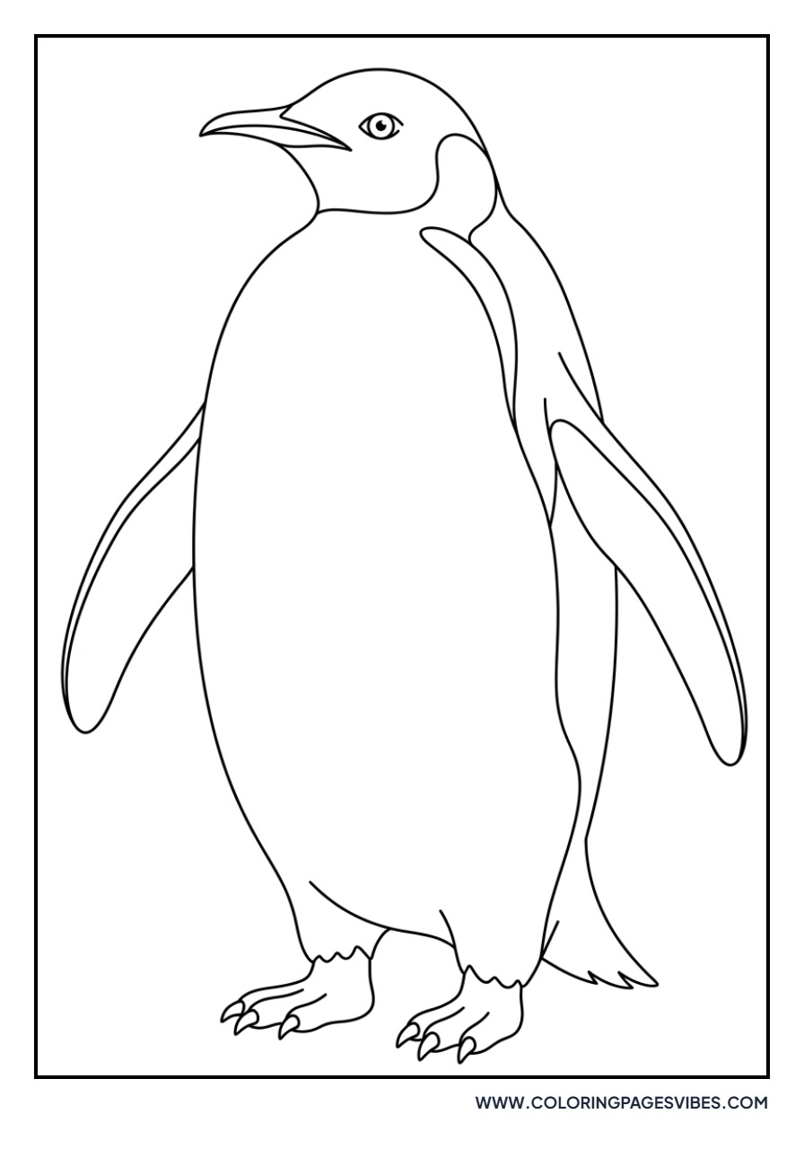 Penguin Guarding Territory