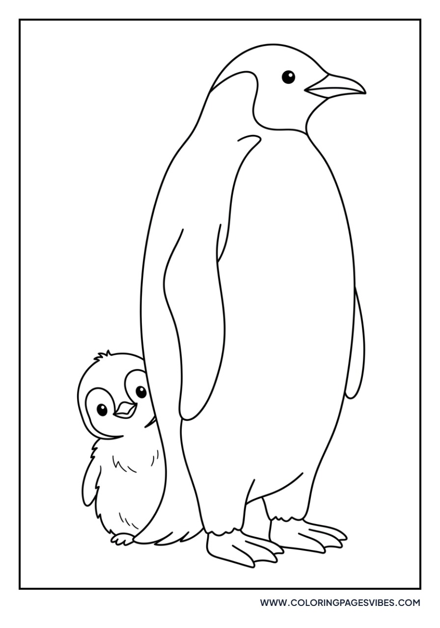 Penguin Hatchling Peeking