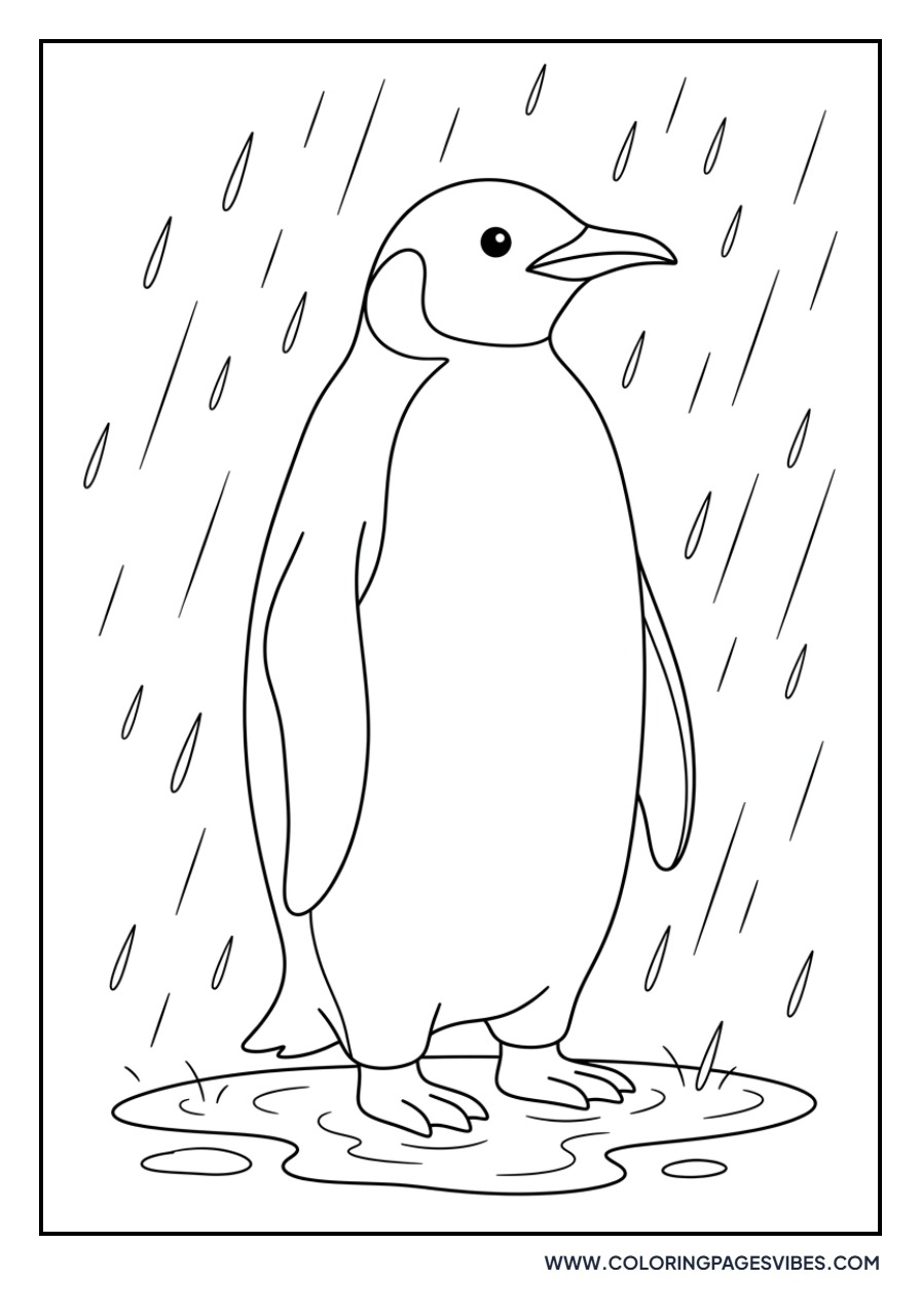 Penguin in the Rain
