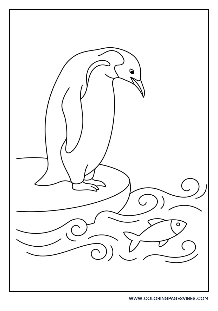 Penguin Looking at Fish