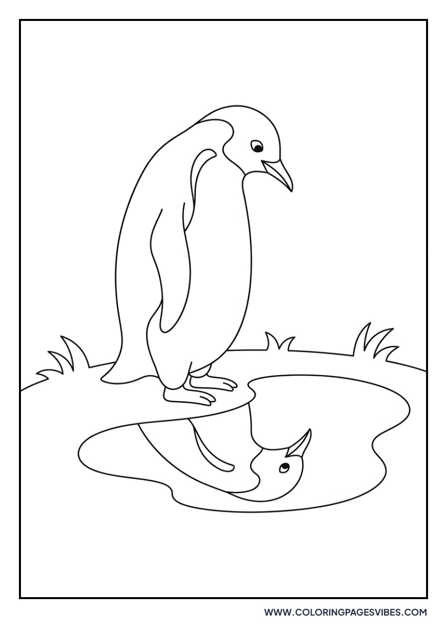 Penguin Looking at Reflections