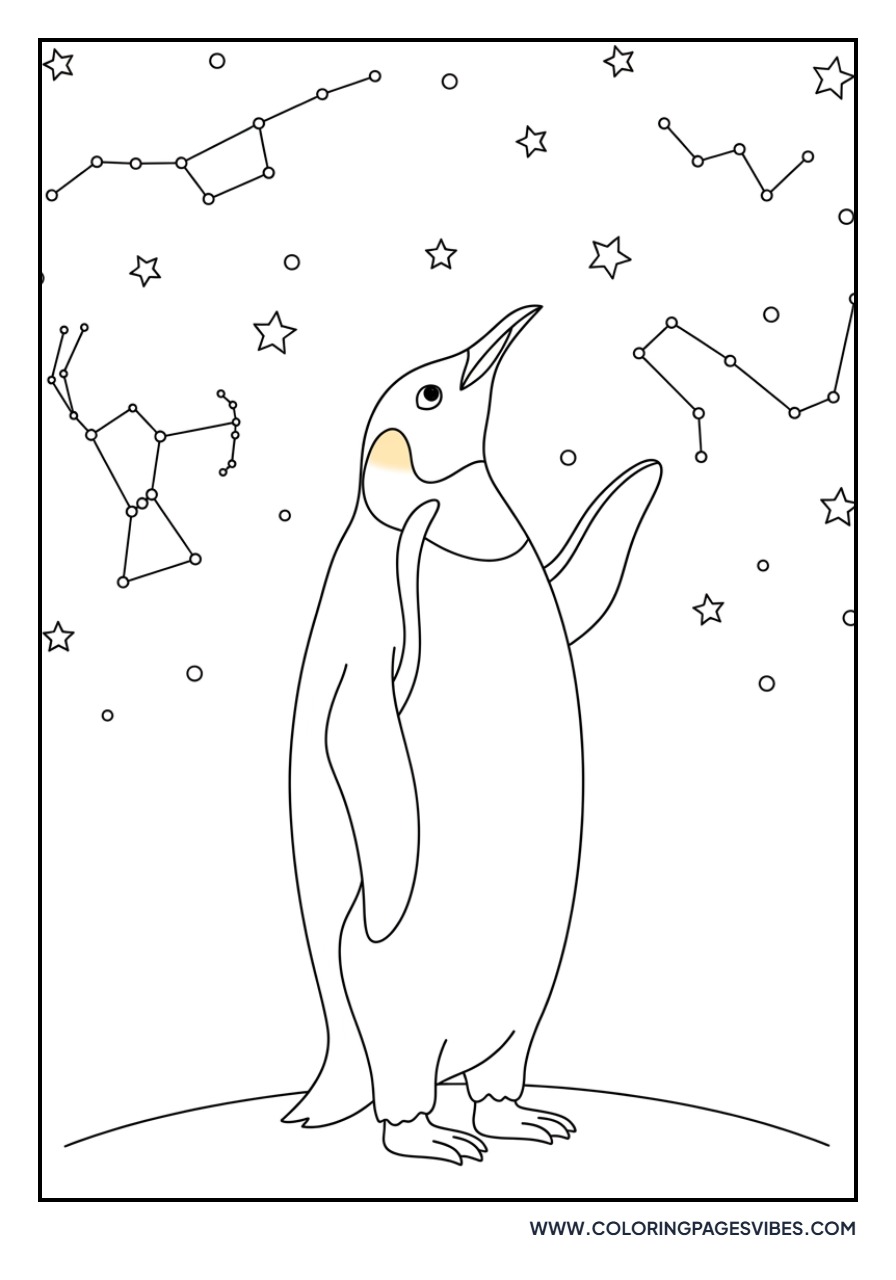 Penguin Looking at Stars