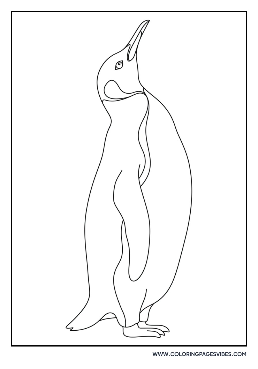 Penguin Looking Up