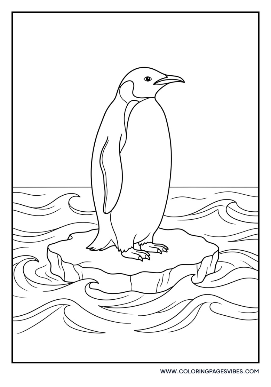 Penguin on Floating Ice