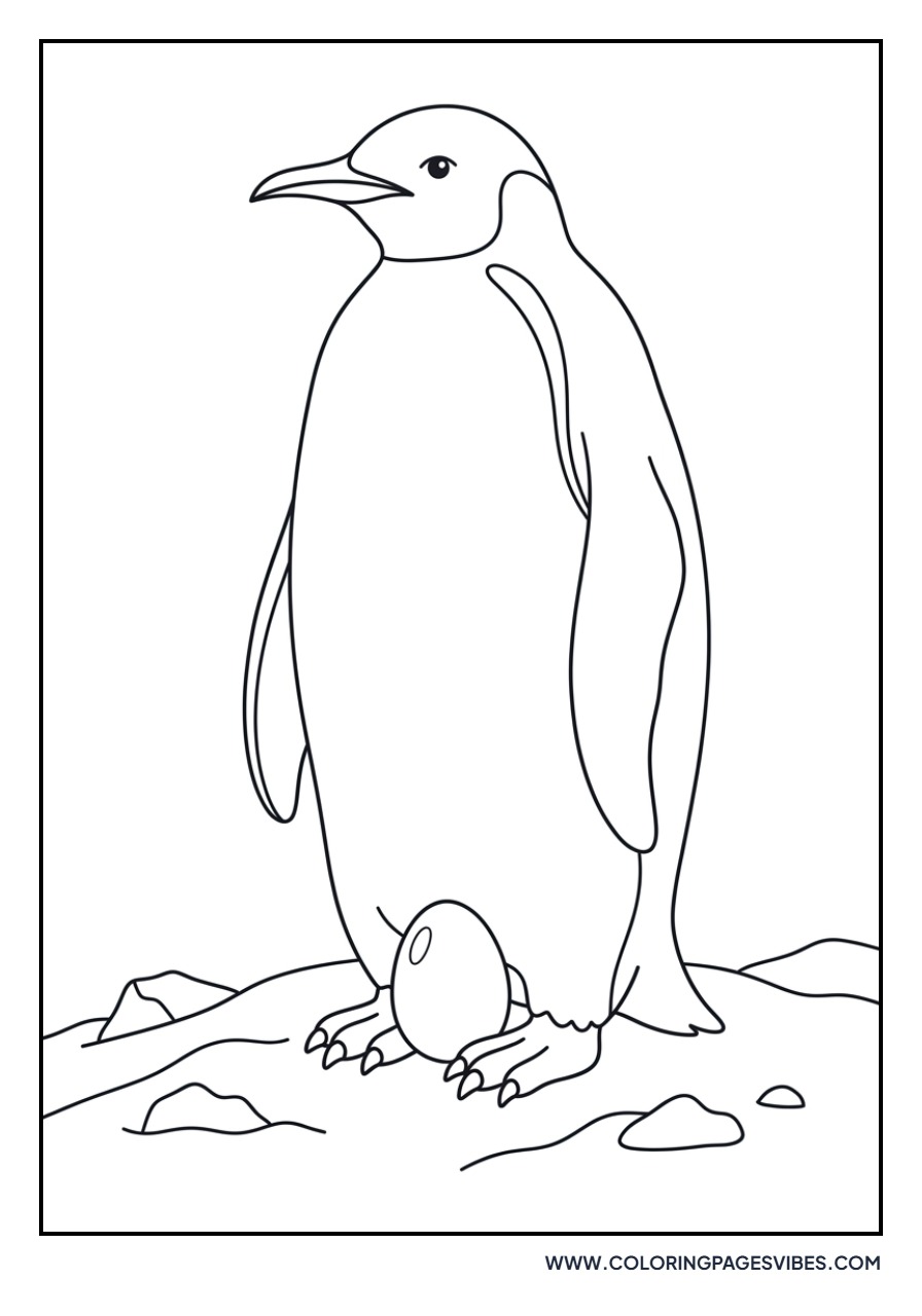 Penguin Parent and Egg