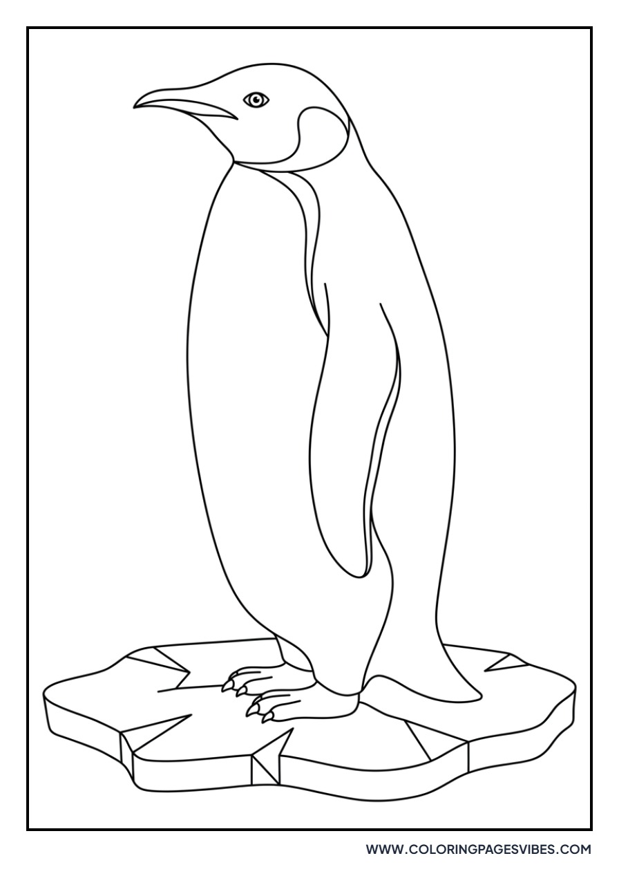 Penguin Profile on Ice
