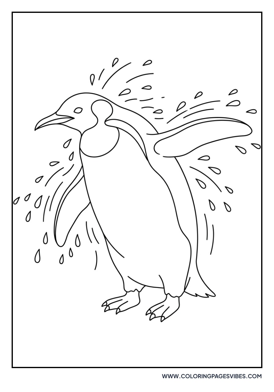 Penguin Shaking Off Water