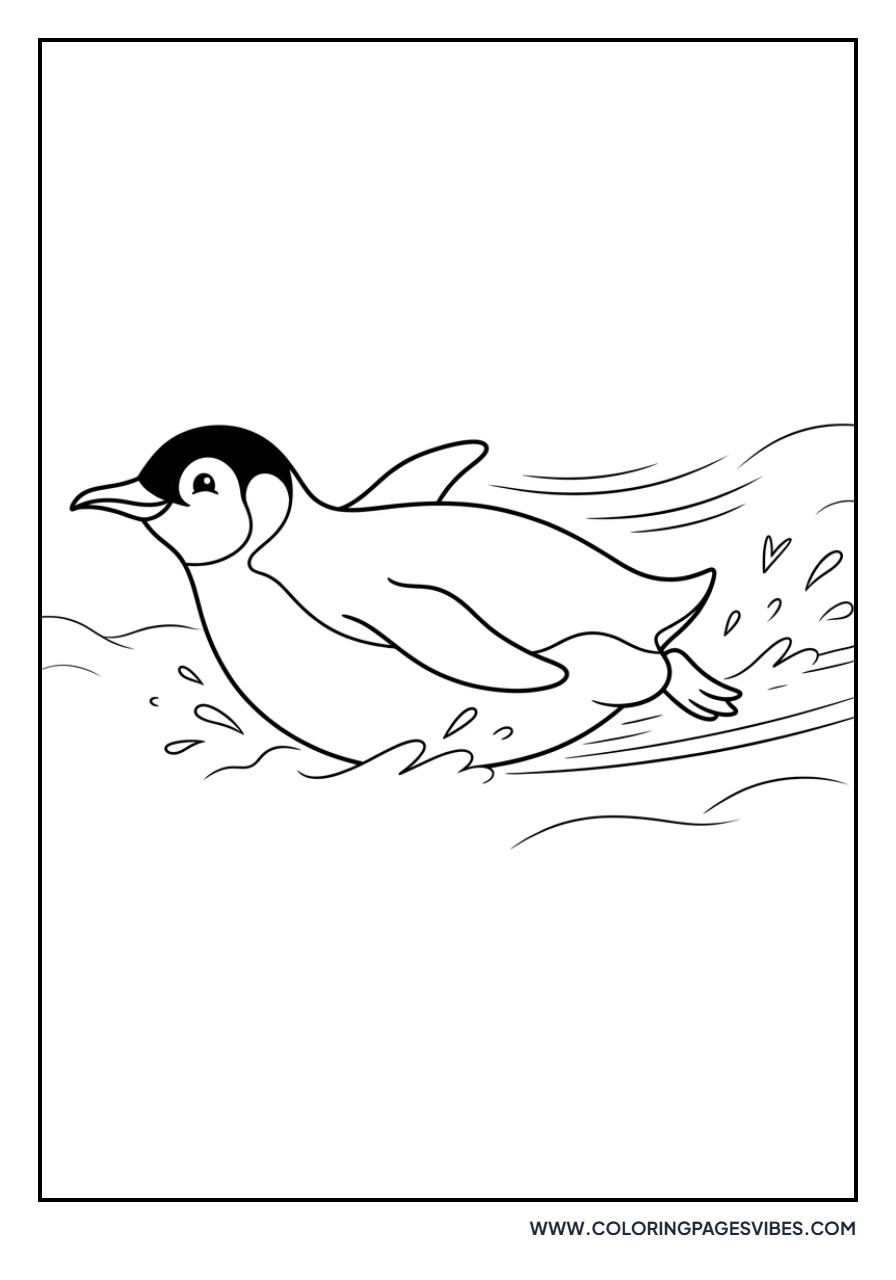 Penguin Sliding on Belly