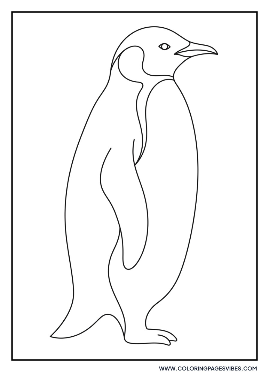 Sleek Penguin Portrait