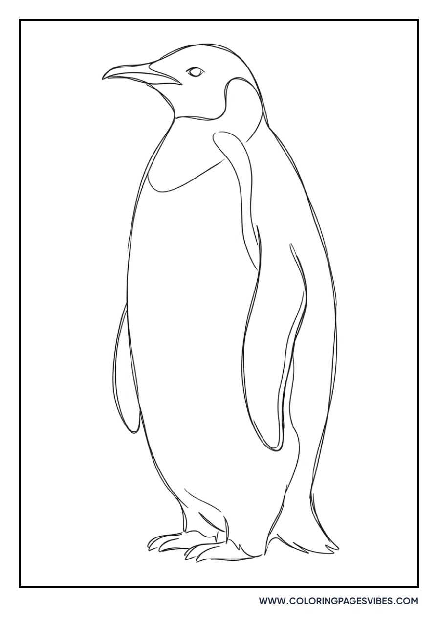 Stylized Penguin Sketch
