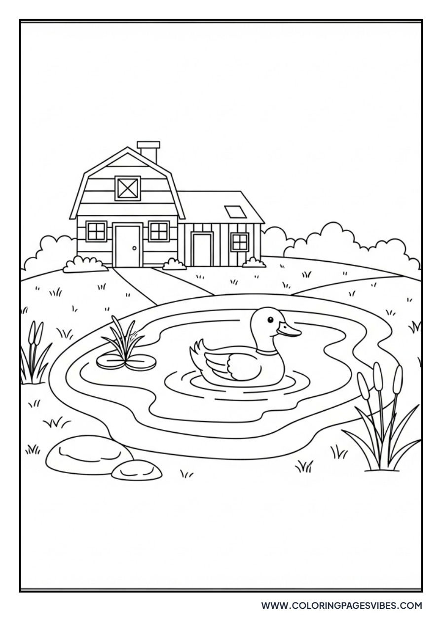 Duck Pond on Farm
