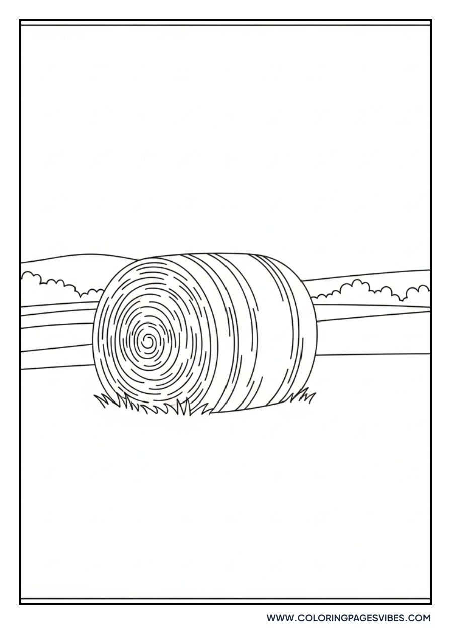 Hay Bale in Field