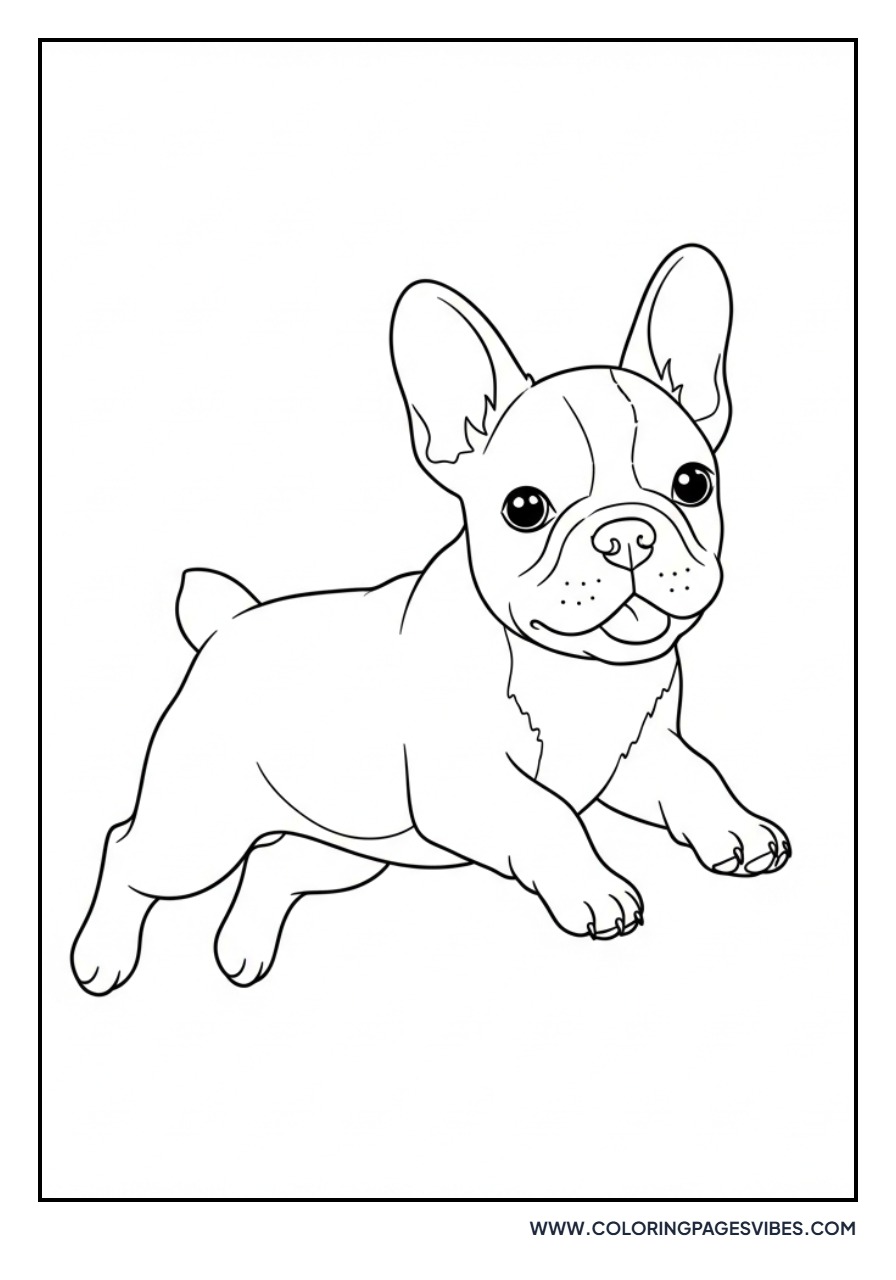 Playful Frenchie Puppy Jumping